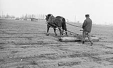 Konie, kury, bloki na końcu świata. Bródno pół wieku temu