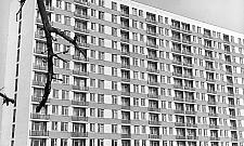 Konie, kury, bloki na końcu świata. Bródno pół wieku temu