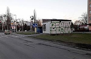 "Czumy żegna". Czy Jelonki są niegościnne?