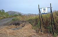 Zasadzą las obok lasu. Ratusz "robi interes" z państwową spółką