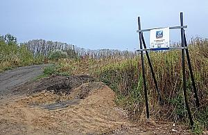 Zasadzą las obok lasu. Ratusz "robi interes" z państwową spółką