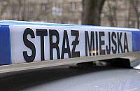 Chwiejnym krokiem prowadzi� wnuczk� ulicami Br�dna. Nie wiedzia� dok�d