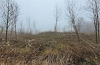 Tną drzewa w dawnej bazie wojskowej. Właściciel: "Jestem ofiarą nagonki"