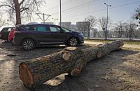 Z cyklu "100 lat planowania w Polsce": kłoda parkingowa