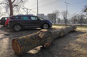 Z cyklu "100 lat planowania w Polsce": kłoda parkingowa