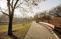 Dla psów wybieg, dla ludzi toi-toi. Nie przewidzieli toalety w parku za kilka milionów