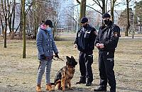 Psie kupy s� na trawnikach, chodnikach, w windach. Stra� miejska: "Legionowianie sprz�taj� wzorowo"