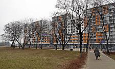 Na tyłach olbrzyma. Słodowiec City ma 5 lat