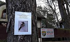 "Zaginął kot, zaginął pies". Radość - osiedle zaginionych zwierząt