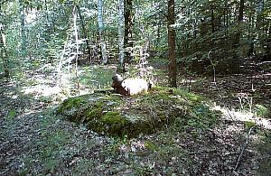 Czas odkopać ruiny radiostacji? "Byłyby atrakcją"