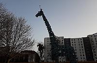 Wystawa na odludziu. Kto pamięta wolską Żyrafę?