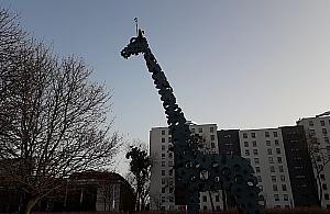 Wystawa na odludziu. Kto pamięta wolską Żyrafę?