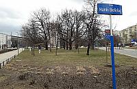 Owoce akcji "Ulice dla kobiet": Hanka Bielicka patronuje trawnikowi