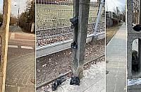 Henryków wyznacza nowe trendy. Psie kupy na... ulicznych słupach