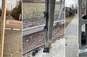 Henryków wyznacza nowe trendy. Psie kupy na... ulicznych słupach