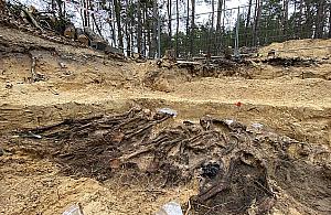 Masowy grób na Białołęce. Szczątki minimum 25 osób, w tym dzieci