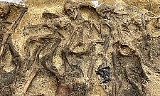 Masowy grób na Białołęce. Szczątki minimum 25 osób, w tym dzieci