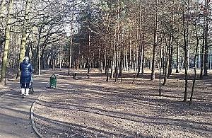 Po siedmiu latach sporów. Białołęka ma park Jarockiej
