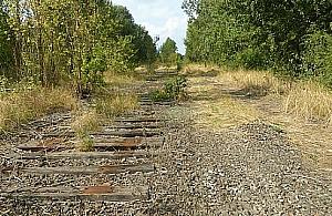 Ogromne blokowisko nad zalewem przy Bardowskiego? Państwowa agencja ma pomysł na 27 hektarów