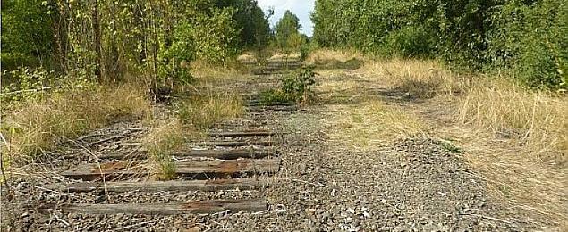 Ogromne blokowisko nad zalewem przy Bardowskiego? Państwowa agencja ma pomysł na 27 hektarów