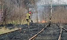 Ognisko przyczyną rozległego pożaru w okolicach torów na Targówku Fabrycznym?