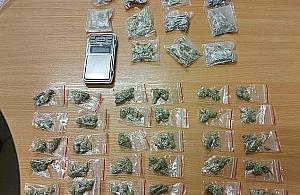 Handlował grzybkami halucynogennymi. Złapany na Radiowej