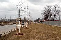 Zamiast drugiej jezdni Płochocińskiej - szpaler drzew