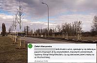 "Planowane zmiany? Spytamy". Sadzą drzewa, nie znają planów