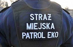 Ranna gęś spadła na parking przy Klaudyny