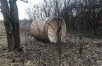 Jak krąg z kolektora Burakowskiego znalazł się na Dąbrówce Szlacheckiej?