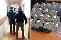 Policja zatrzyma�a narkotykowego dilera w gminie Wieliszew. Mia� 4 kg marihuany