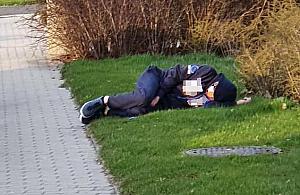 Po lanym poniedziałku zapadł w głęboki sen na jednym z trawników pod Galerią Bemowo