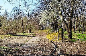 Park szpitala przy Spartańskiej na sprzedaż. Będzie wielka wycinka?