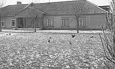 Osiedle Przyjaźń 60 lat temu. Zobacz niezwykłe zdjęcia