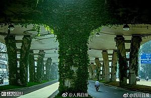 Nowy pomysł na wiadukty Prymasa. "Rośliny zamaskowałyby beton"