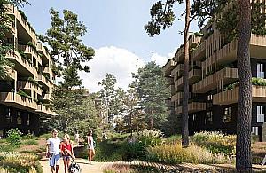 Nowe Centrum Międzylesia. Inwestor milczy, koncert życzeń trwa