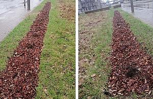 Ekspresowa kradzież w okolicy Polfy. Zniknęły wszystkie krzewy