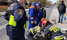 Kacza rodzinka z Chomiczówki potrzebowała pomocy. Kaczątka wpadły do studzienki
