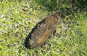 Zamówili ziemię do ogrodu. Dostali "w promocji" pocisk artyleryjski