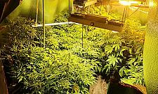 "Wesoła" altanka działkowa mieszkańców Białołęki. "Silna charakterystyczna woń"