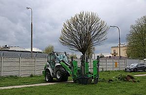 Ruszyła budowa nowej pętli. ZTM przesadza drzewa