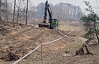 Czy zalesiona wydma na Olesinie padła "łupem" deweloperki?