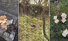 Tony resztek jedzenia walają się na trawnikach. "Są wszędzie i przyciągają szczury. To jakiś koszmar"