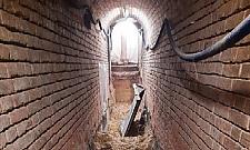 Remontują szklarnie przed Wola Parkiem. Będą otwarte dla warszawiaków