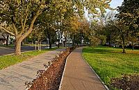 Ścieżka dla biegaczy na Targówku pełna spacerowiczów, dzieci i psów. "Nie tak miało być"