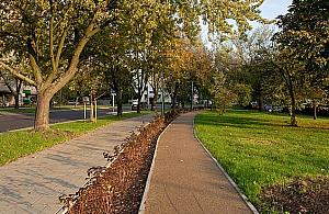 Ścieżka dla biegaczy na Targówku pełna spacerowiczów, dzieci i psów. "Nie tak miało być"