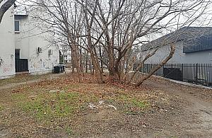 Czy przy Świderskiej powstanie park kieszonkowy z huśtawkami?