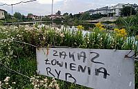 Akweny wodne w Wawrze coraz mniej dostępne. Gdzie jeszcze można wypocząć nad wodą?