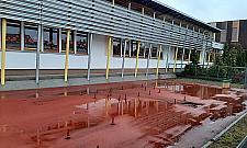 Minipark sportowo-rekreacyjny dla dzieci i dorosłych na Zielonej Białołęce?