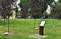 Siedem lat Ogrodu Sprawiedliwych. Kto o nim pamięta?